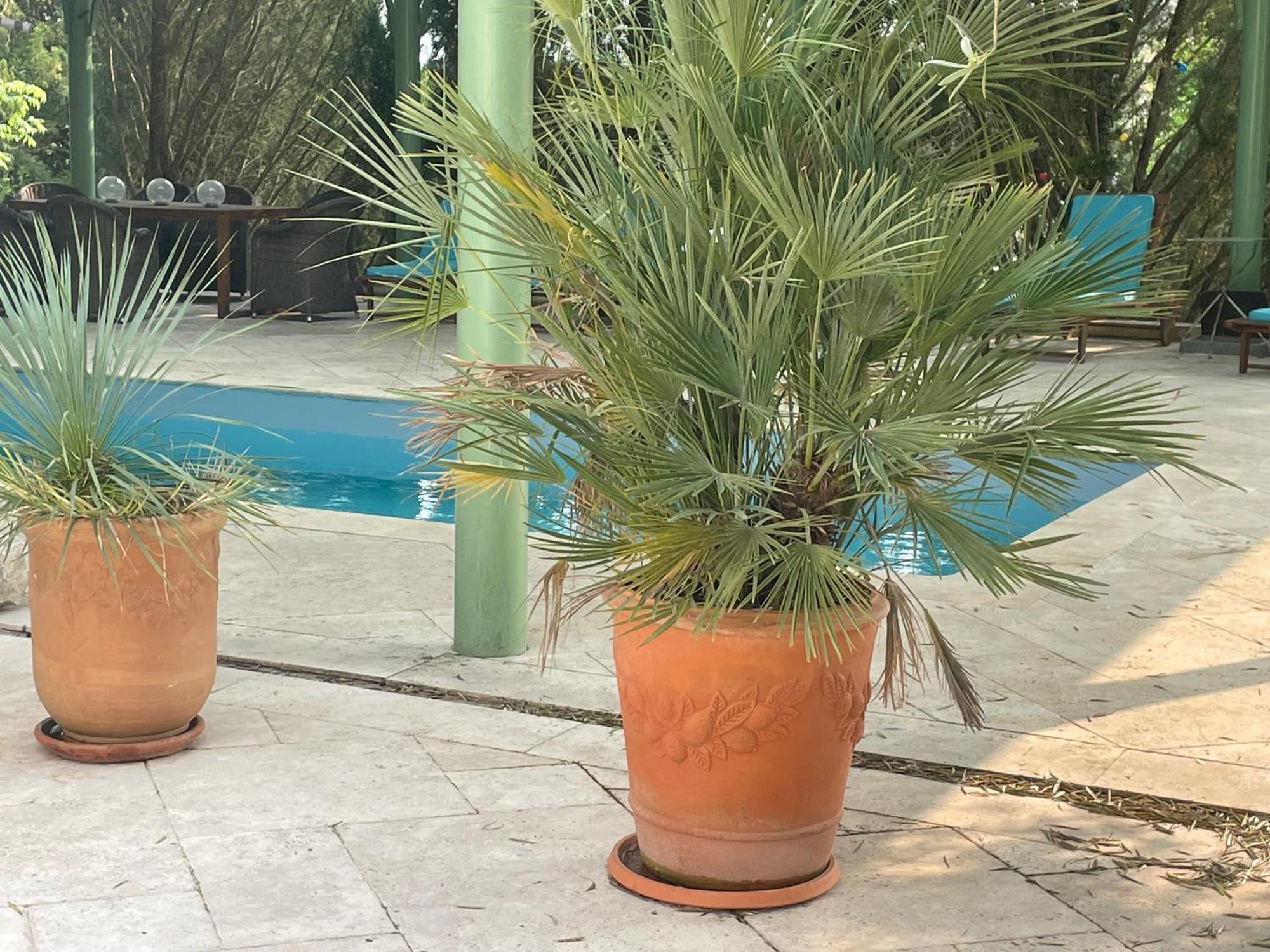 VILLA SPA PERRET-4 Étoiles-PARC de 3 Ha au pied du PARC NATUREL DU VEXIN NORMAND-Châteaux -Nature-Ballades-VTT-Cheval-Golf-À 5 Mn de GIVERNY-Jardins de MONET-Musée IMPRESSIONNISTE-Pour 2 Nuitées SAUNA ou JACUZZI offert en Hiver ou PISCINE en Été ou H Sainte-Genevieve-les-Gasny Esterno foto